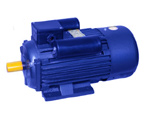 YL Series single-phase two-value capacitor induction motor
