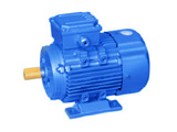 Y2 Series three-phase induction motor