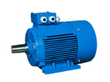 Y2 Series three-phase induction motor