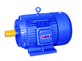 Y Series three-phase induction motor